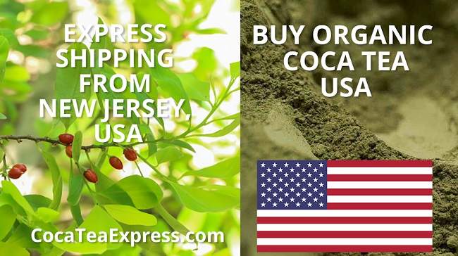 Buy Coca Tea USA