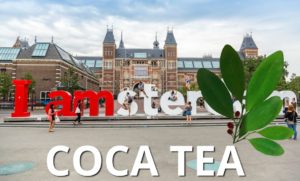 coca tea in Amsterdam