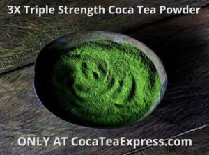 3X Triple Strength coca tea powder