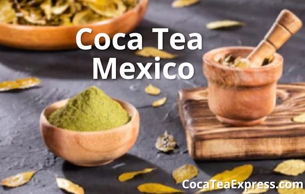 coca-tea-mexico-coca-tea-express-buy-coca-leaves-in-mexico